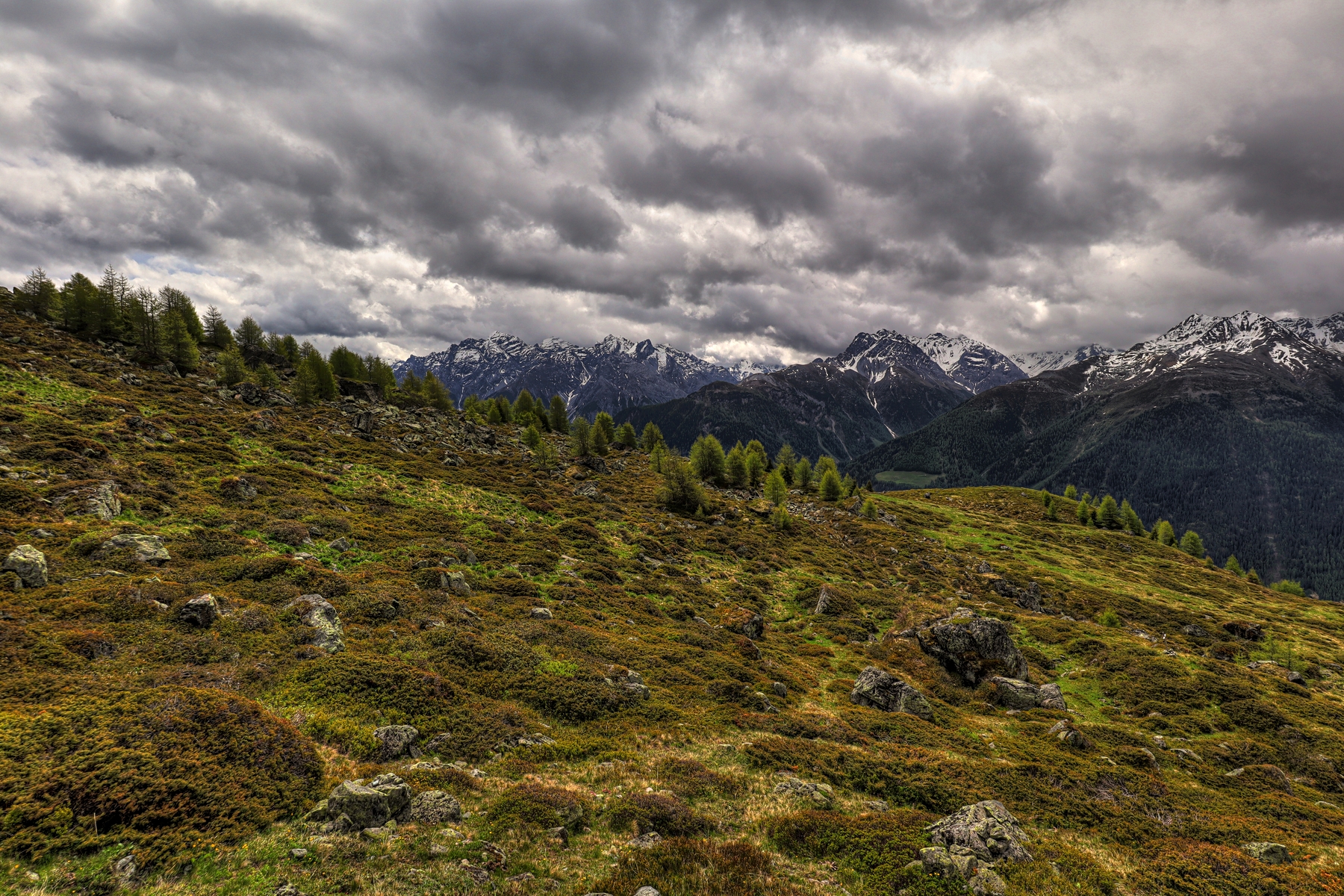 IMG_5820-hdr.jpg