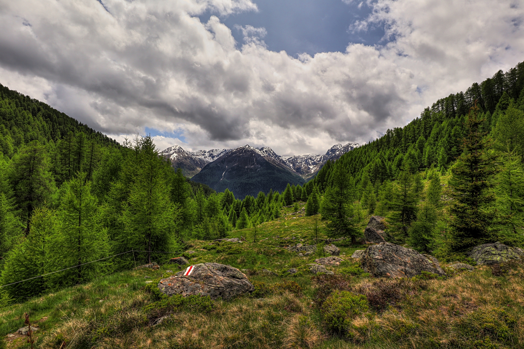 IMG_5862-hdr.jpg