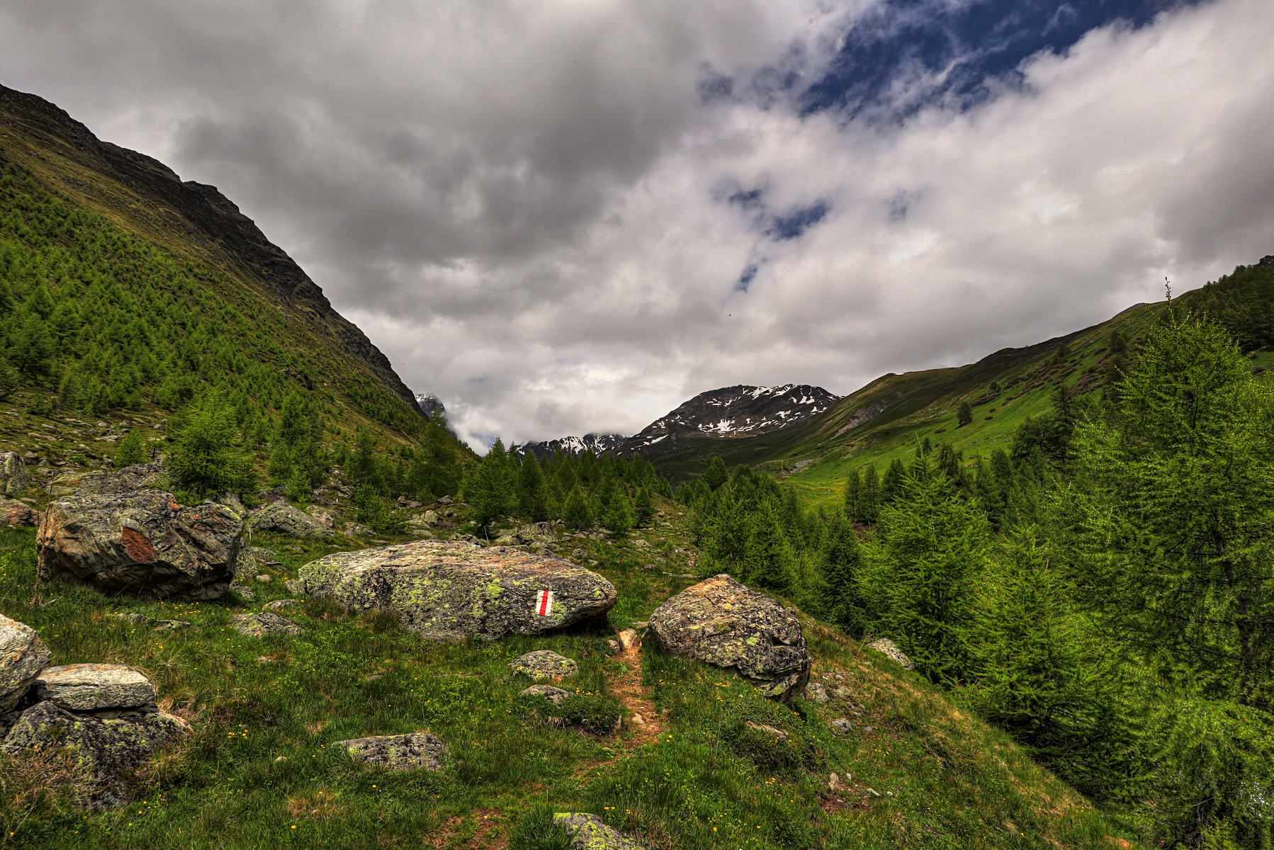 IMG_5865-hdr.jpg