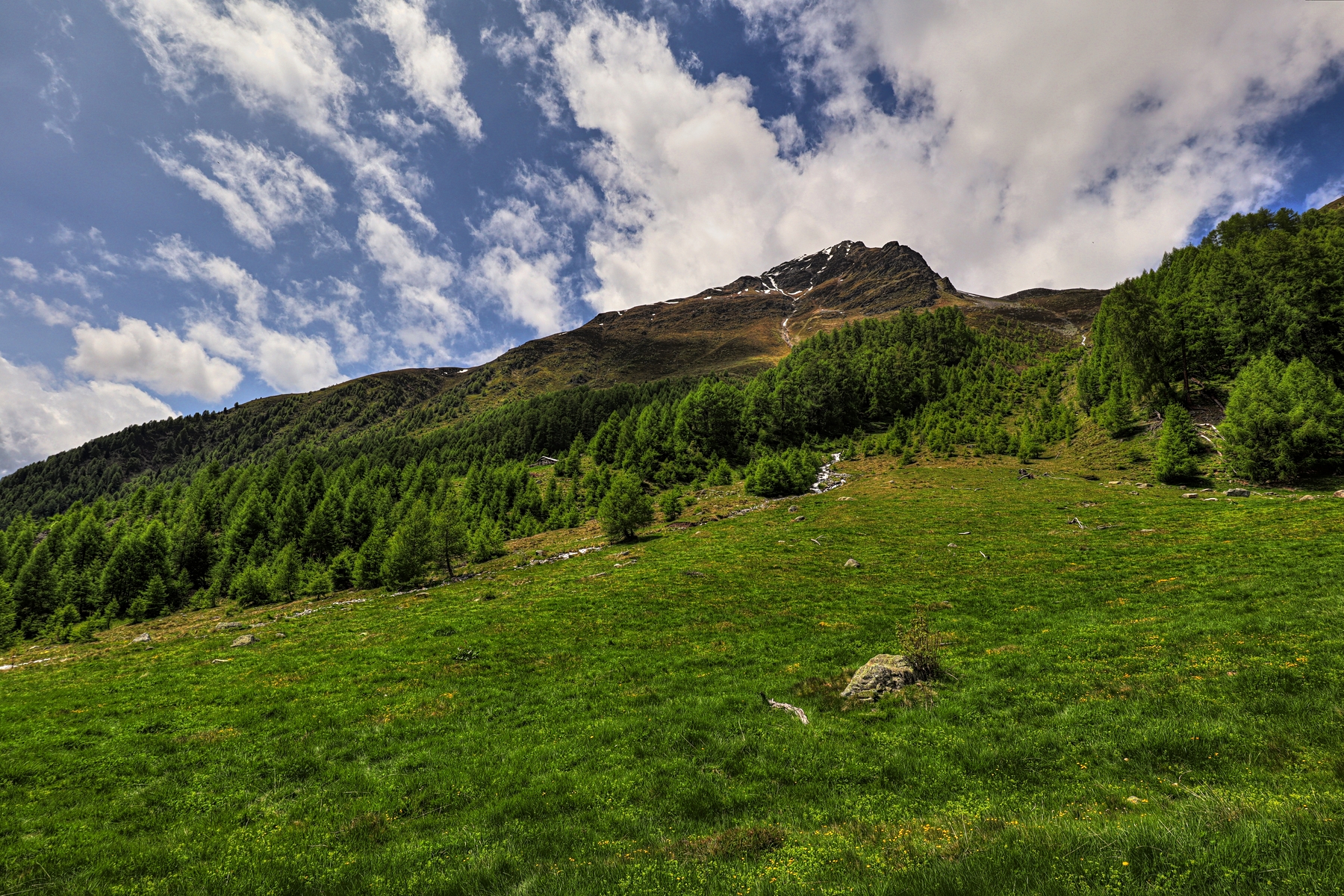 IMG_5874-hdr.jpg
