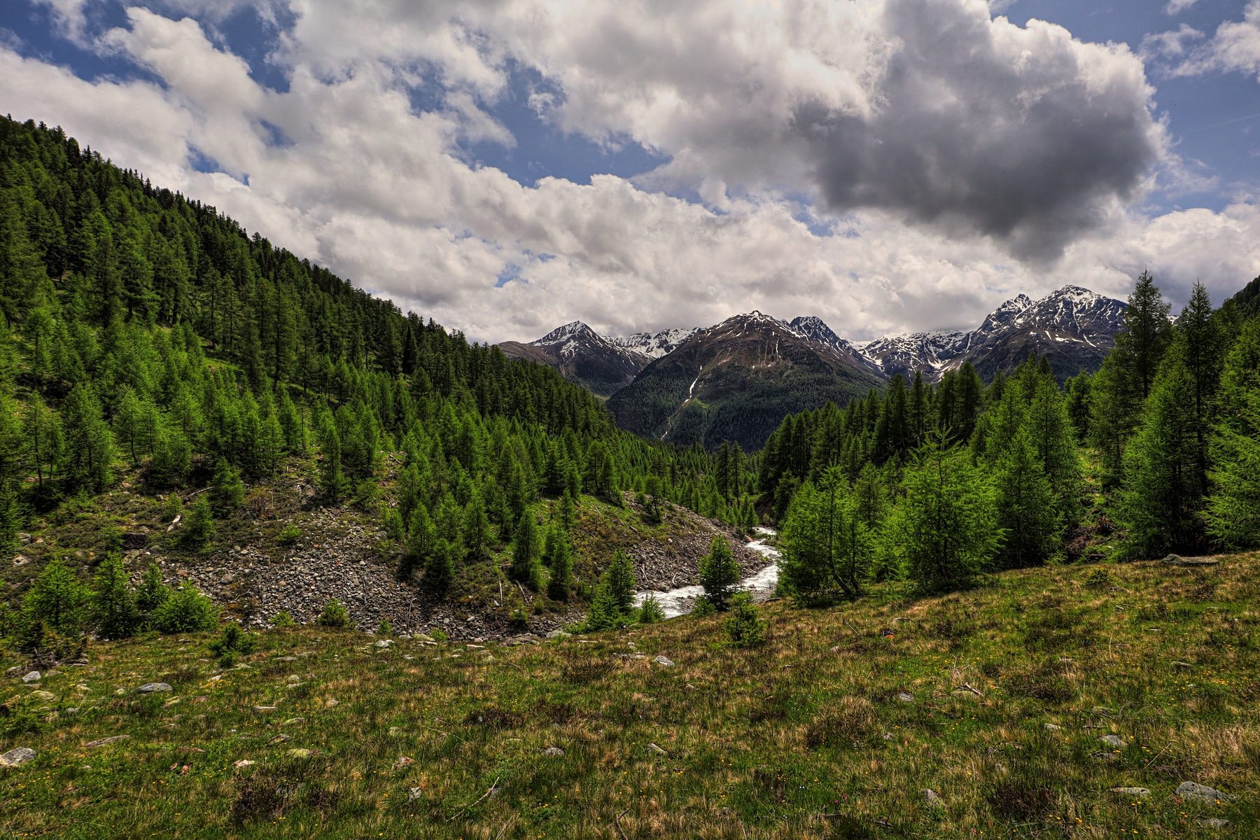 IMG_5877-hdr.jpg