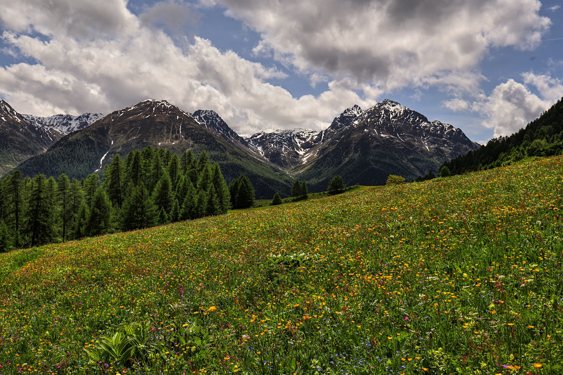IMG_5889-hdr.jpg