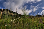 IMG_5685-hdr.jpg
