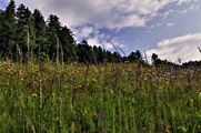 IMG_5688-hdr.jpg