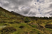 IMG_5823-hdr.jpg