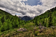 IMG_5862-hdr.jpg