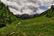 IMG_5868-hdr.jpg