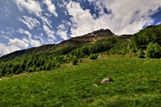 IMG_5874-hdr.jpg