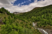 IMG_5883-hdr.jpg