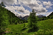 IMG_5886-hdr.jpg