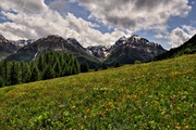 IMG_5889-hdr.jpg