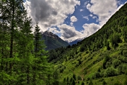 IMG_5895-hdr.jpg