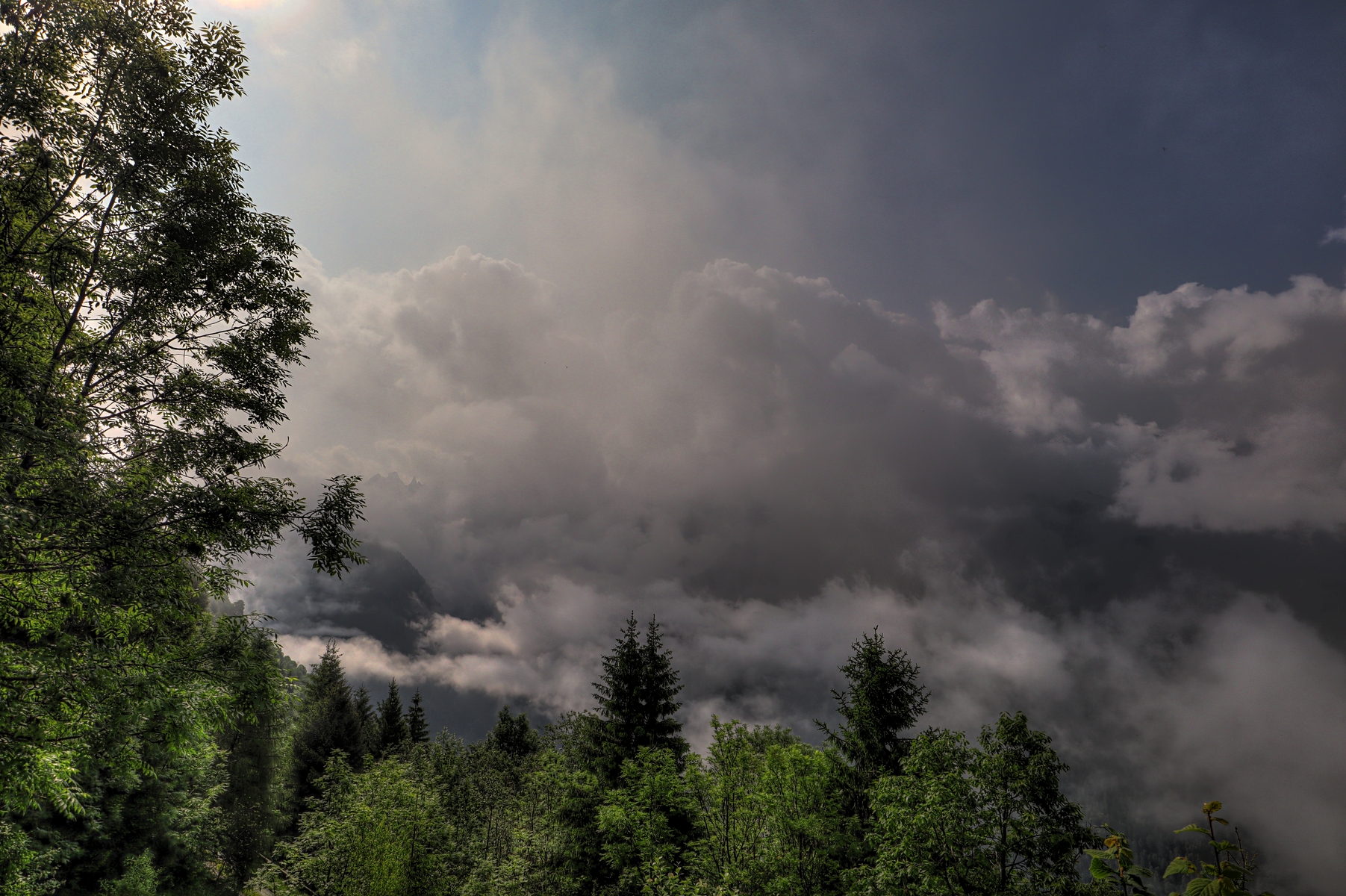 IMG_5910-hdr.jpg
