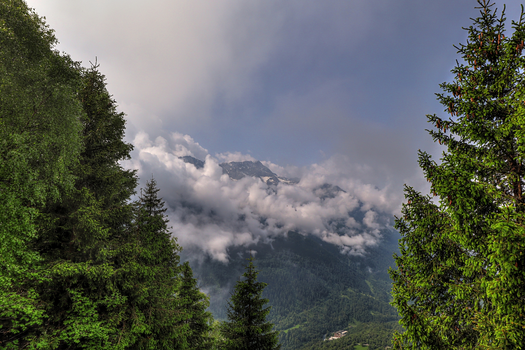 IMG_5916-hdr.jpg