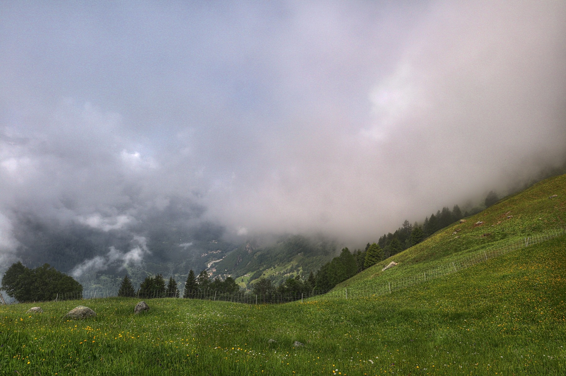 IMG_5919-hdr.jpg