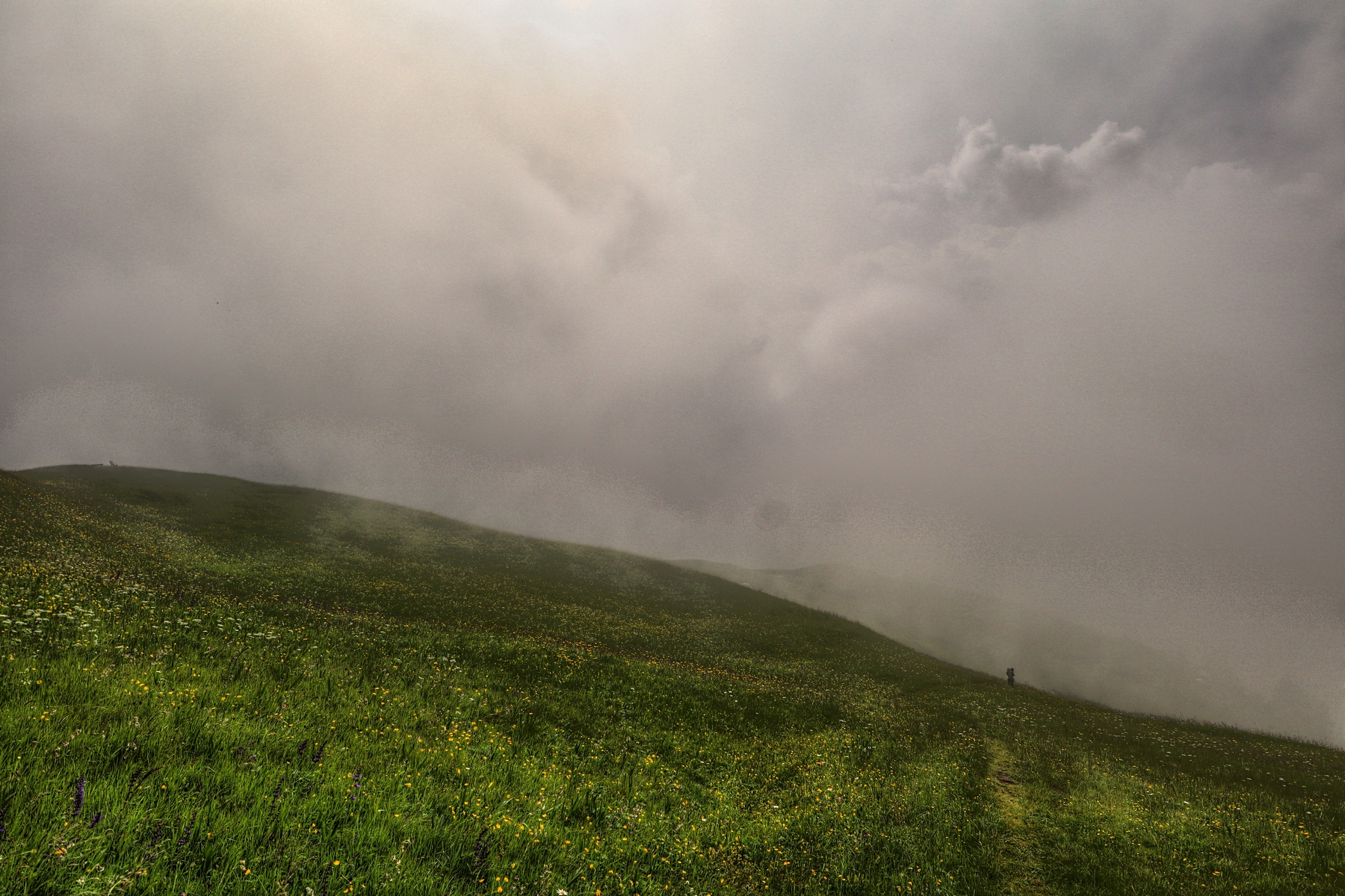 IMG_5922-hdr.jpg