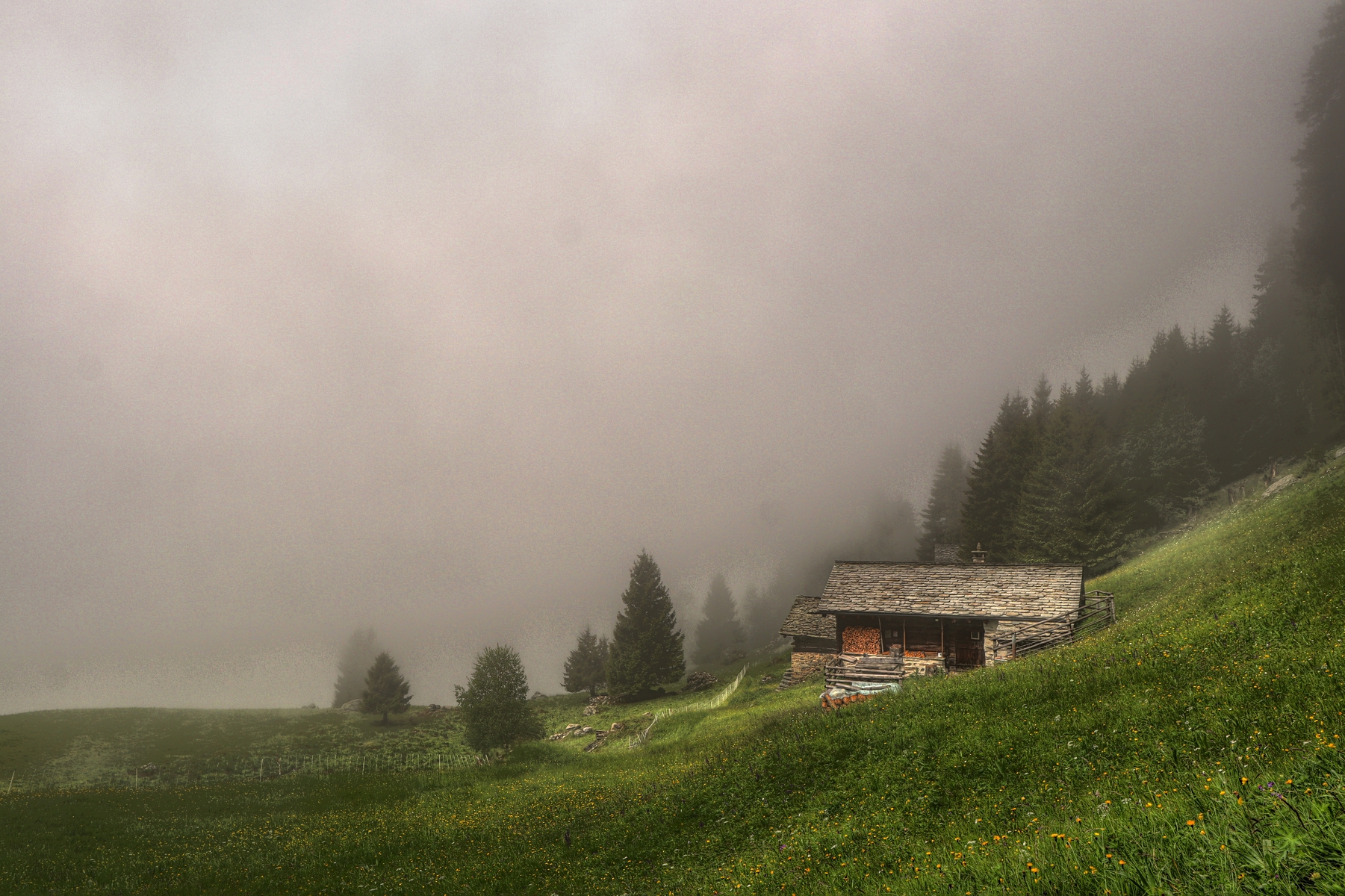 IMG_5925-hdr.jpg