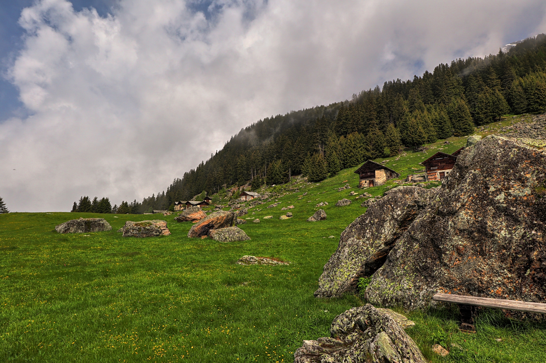 IMG_5934-hdr.jpg