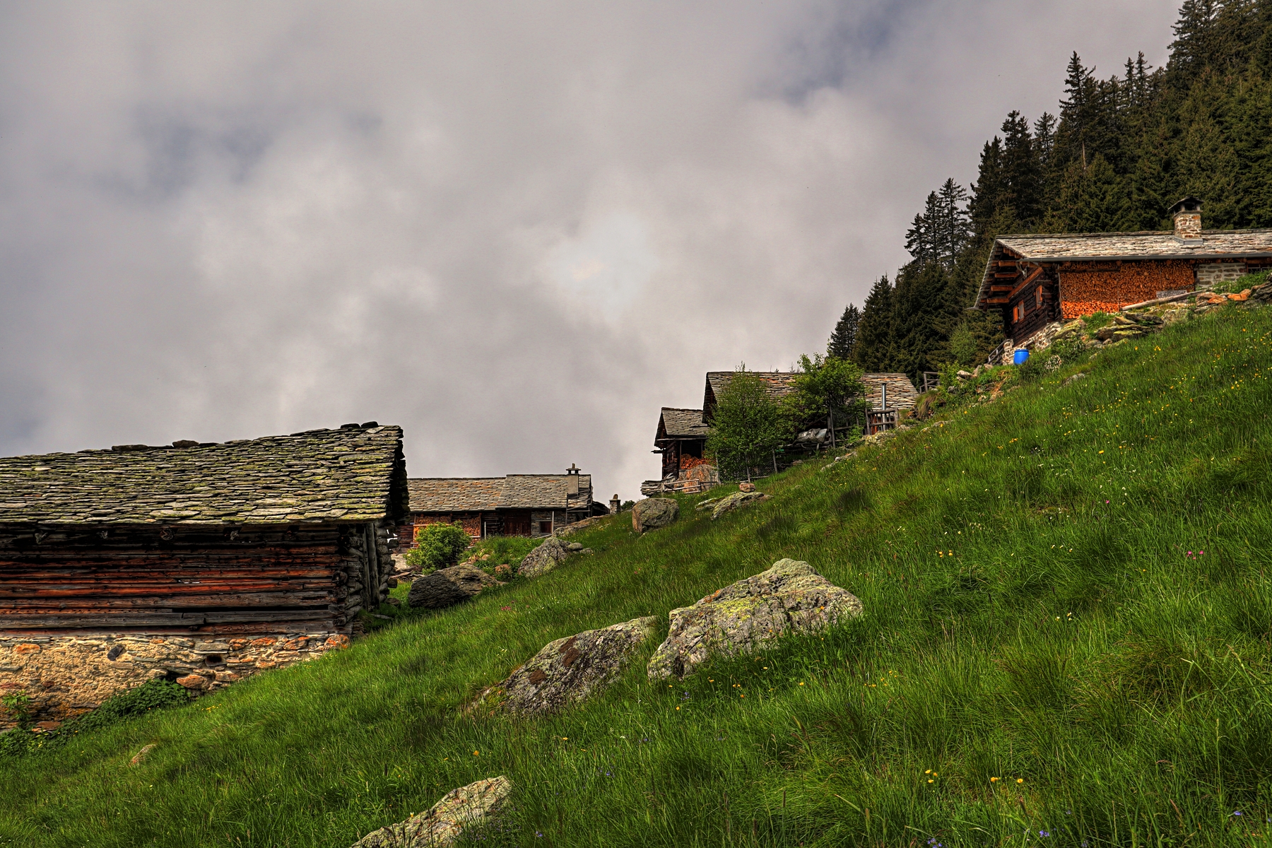 IMG_5949-hdr.jpg