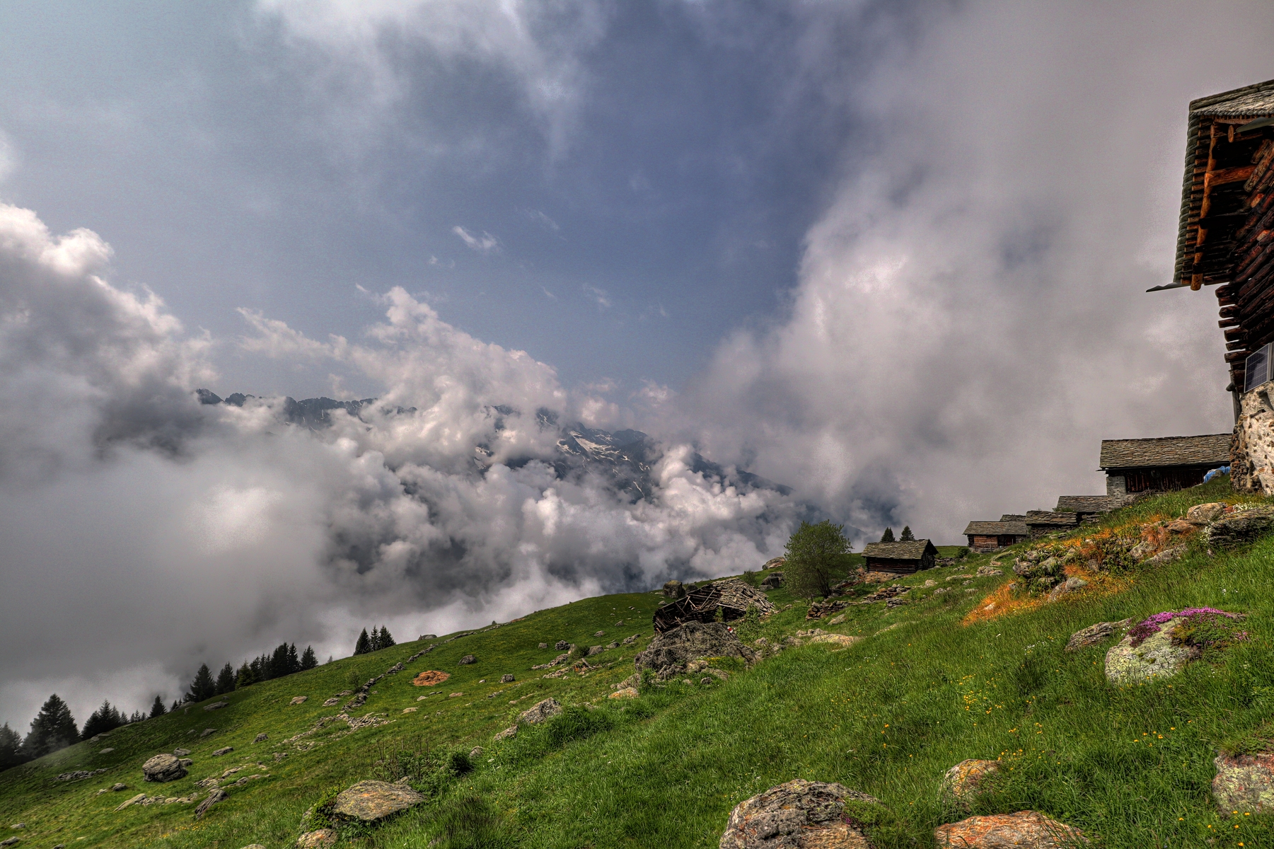 IMG_5952-hdr.jpg