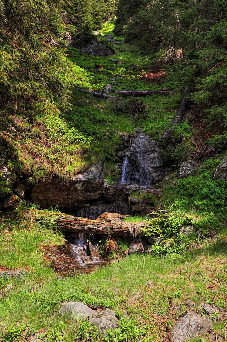 IMG_5955-hdr.jpg