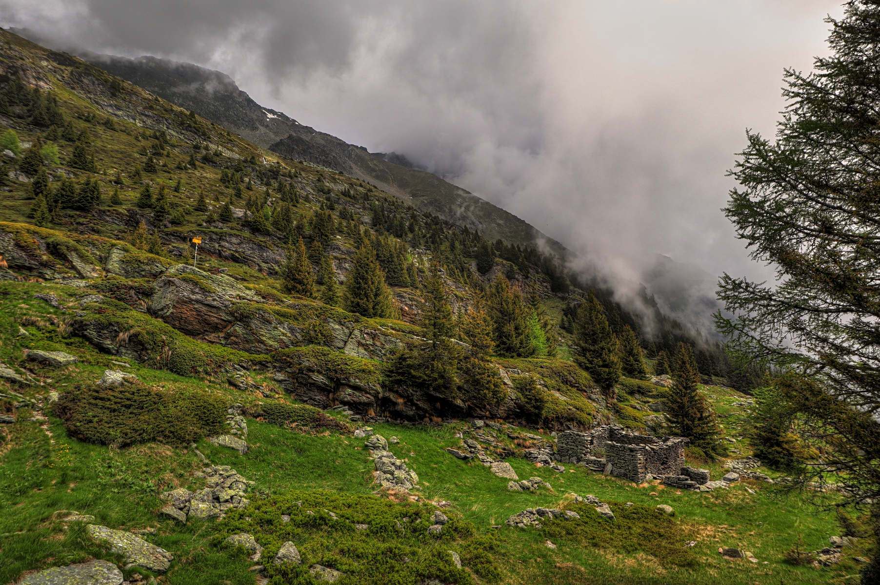 IMG_5958-hdr.jpg