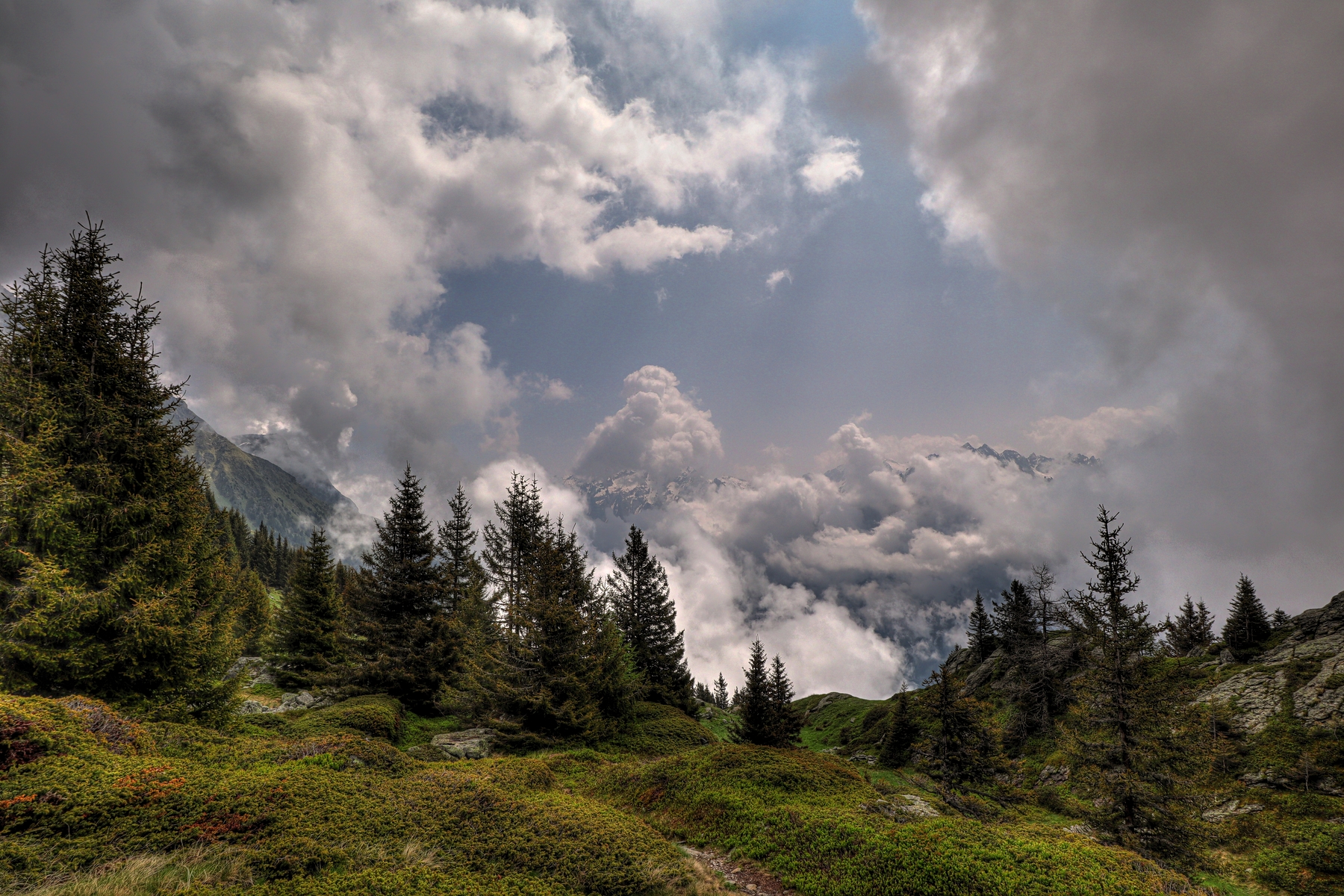 IMG_5964-hdr.jpg