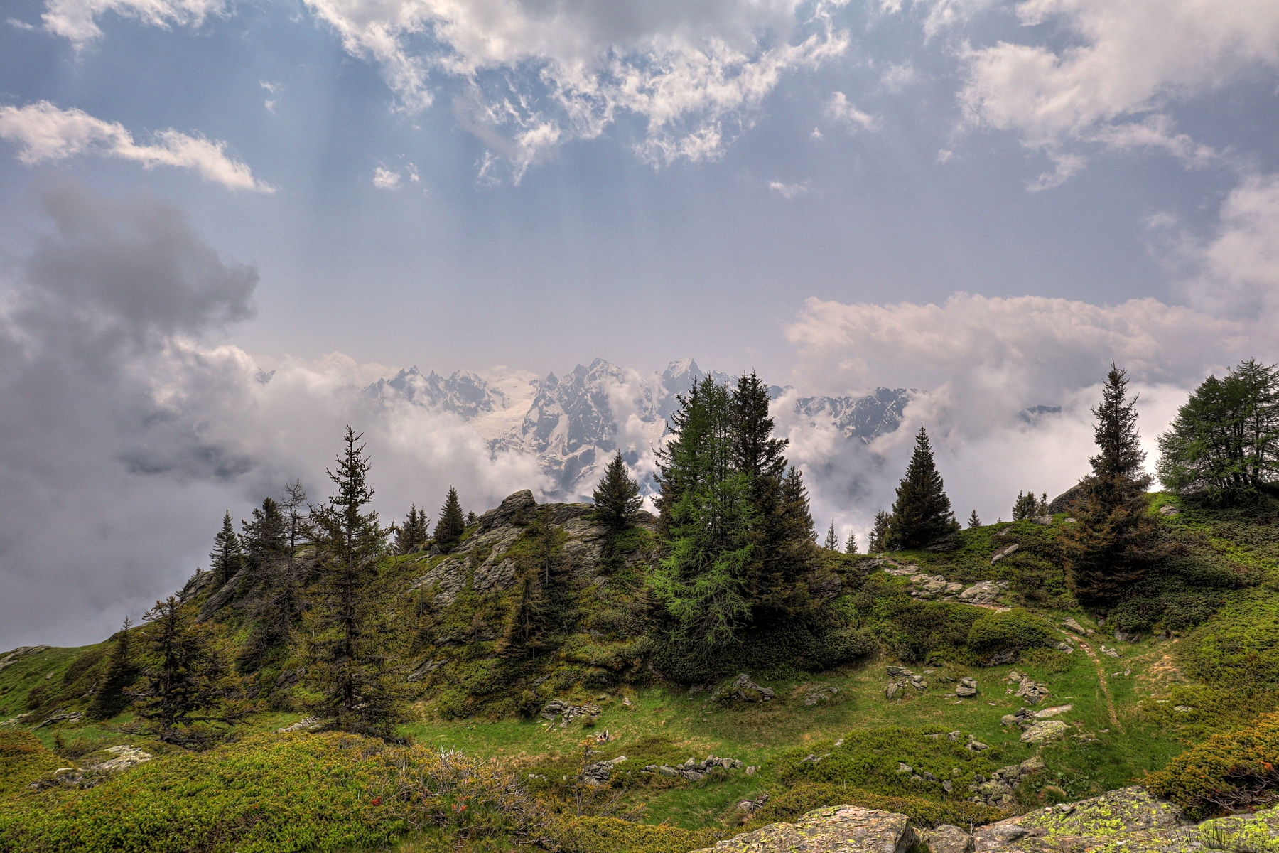 IMG_5967-hdr.jpg