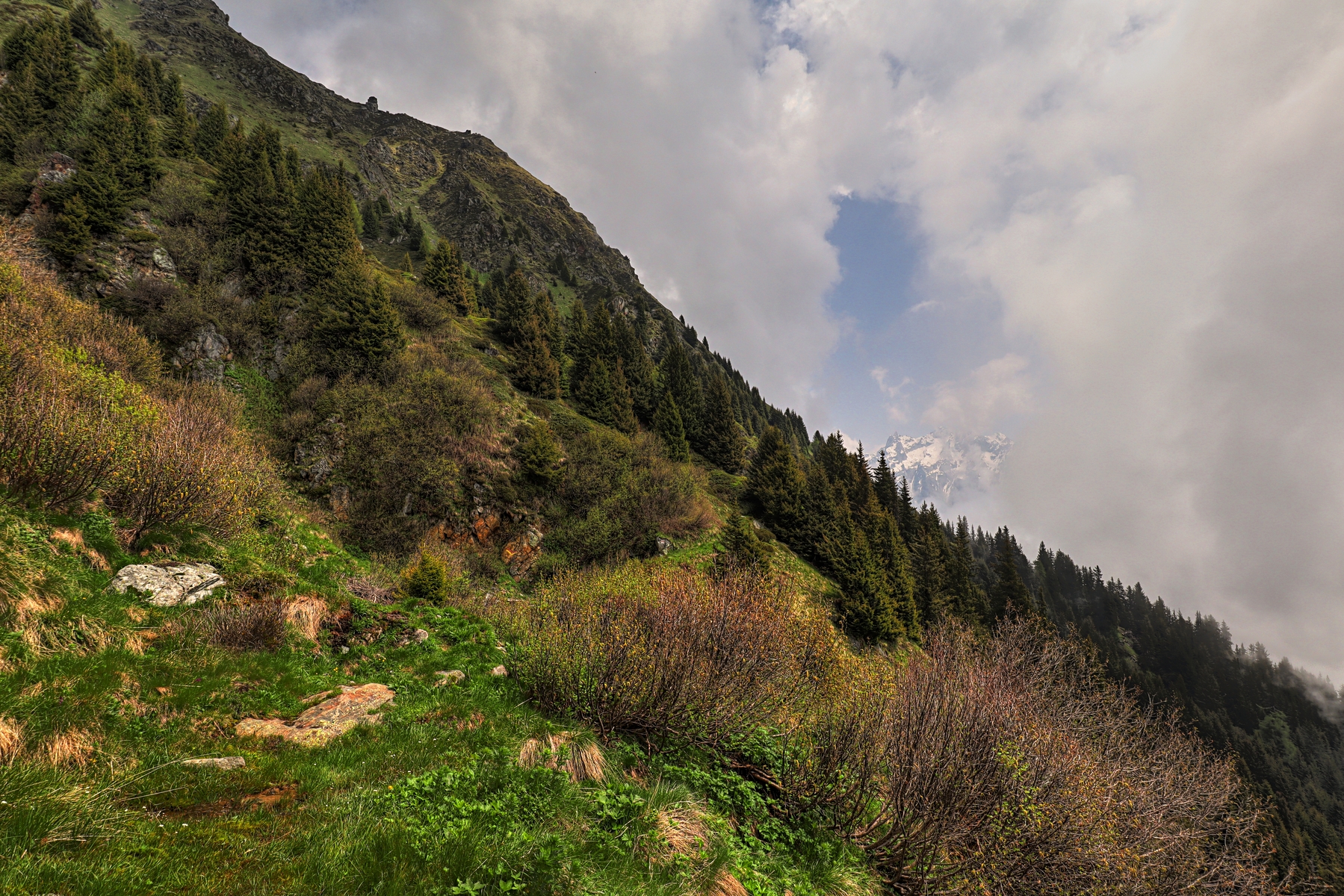 IMG_6036-hdr.jpg