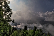 IMG_5910-hdr.jpg
