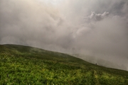 IMG_5922-hdr.jpg