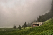 IMG_5925-hdr.jpg