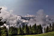 IMG_5928-hdr.jpg