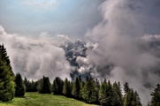 IMG_5931-hdr.jpg