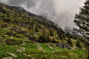 IMG_5958-hdr.jpg