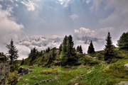 IMG_5961-hdr.jpg