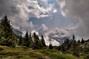 IMG_5964-hdr.jpg