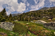 IMG_6024-hdr.jpg
