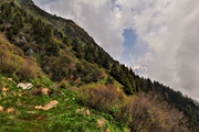 IMG_6036-hdr.jpg