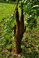 IMG_6051-hdr.jpg