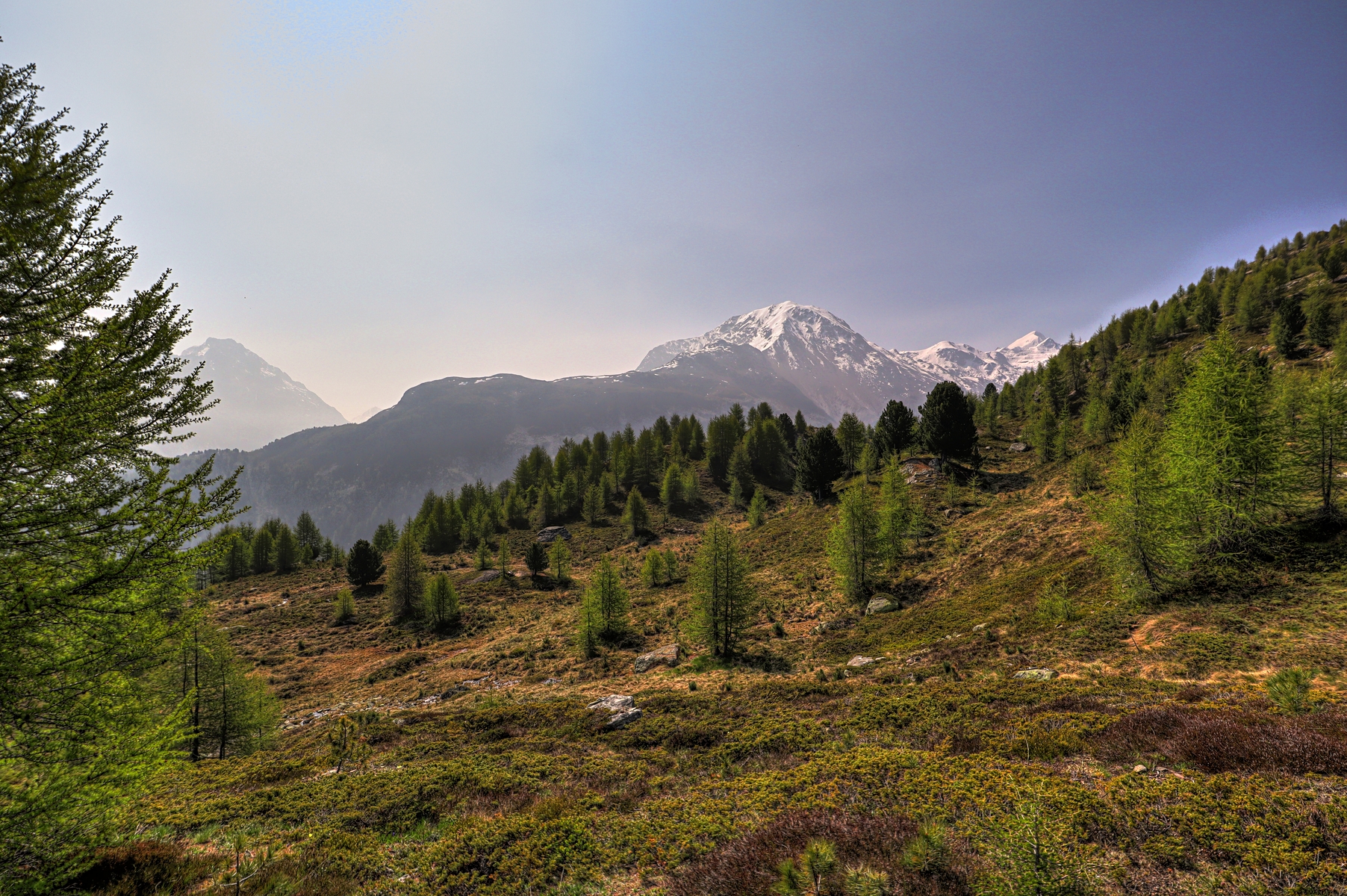 IMG_6072-hdr.jpg