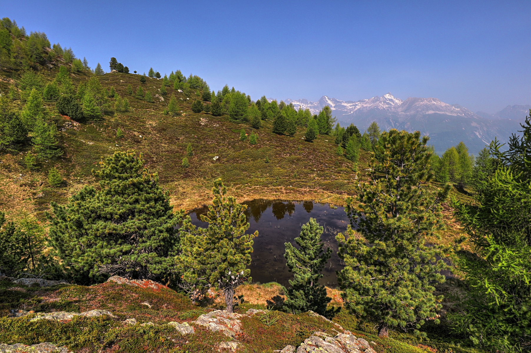 IMG_6078-hdr.jpg