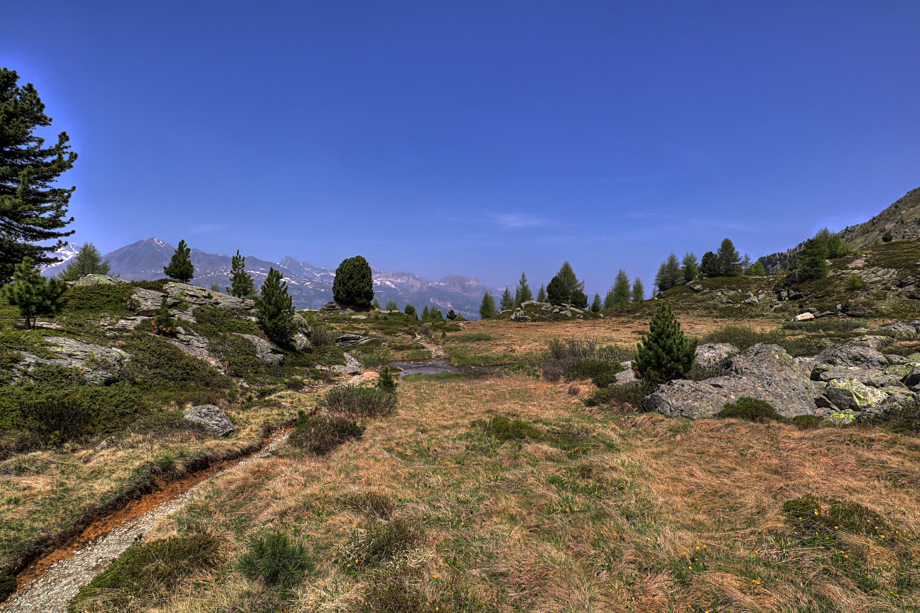 IMG_6117-hdr.jpg
