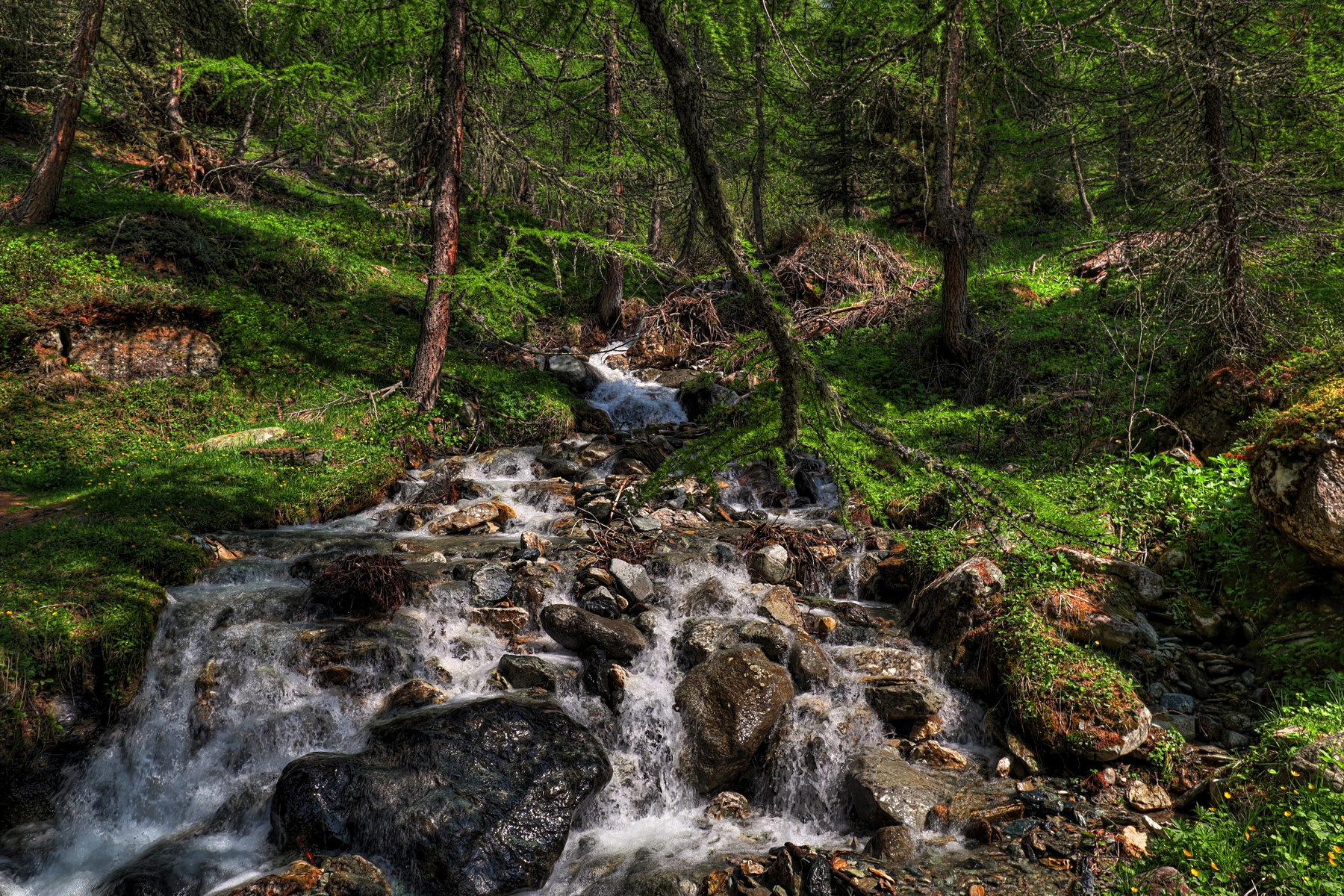 IMG_6174-hdr.jpg