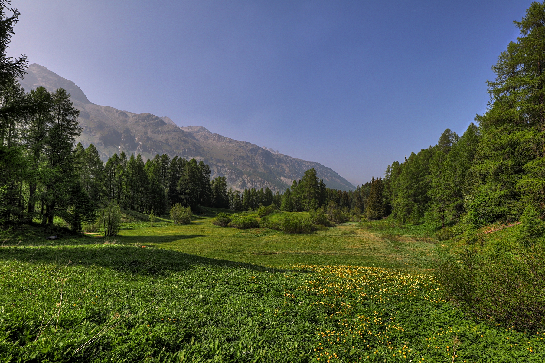 IMG_6180-hdr.jpg