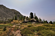 IMG_6114-hdr.jpg