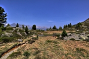 IMG_6117-hdr.jpg