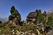 IMG_6150-hdr.jpg