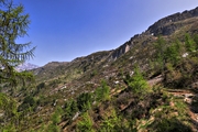 IMG_6165-hdr.jpg