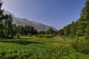 IMG_6180-hdr.jpg